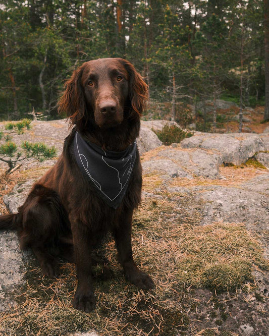 Explore Silk Handkerchief Kungsleden edt