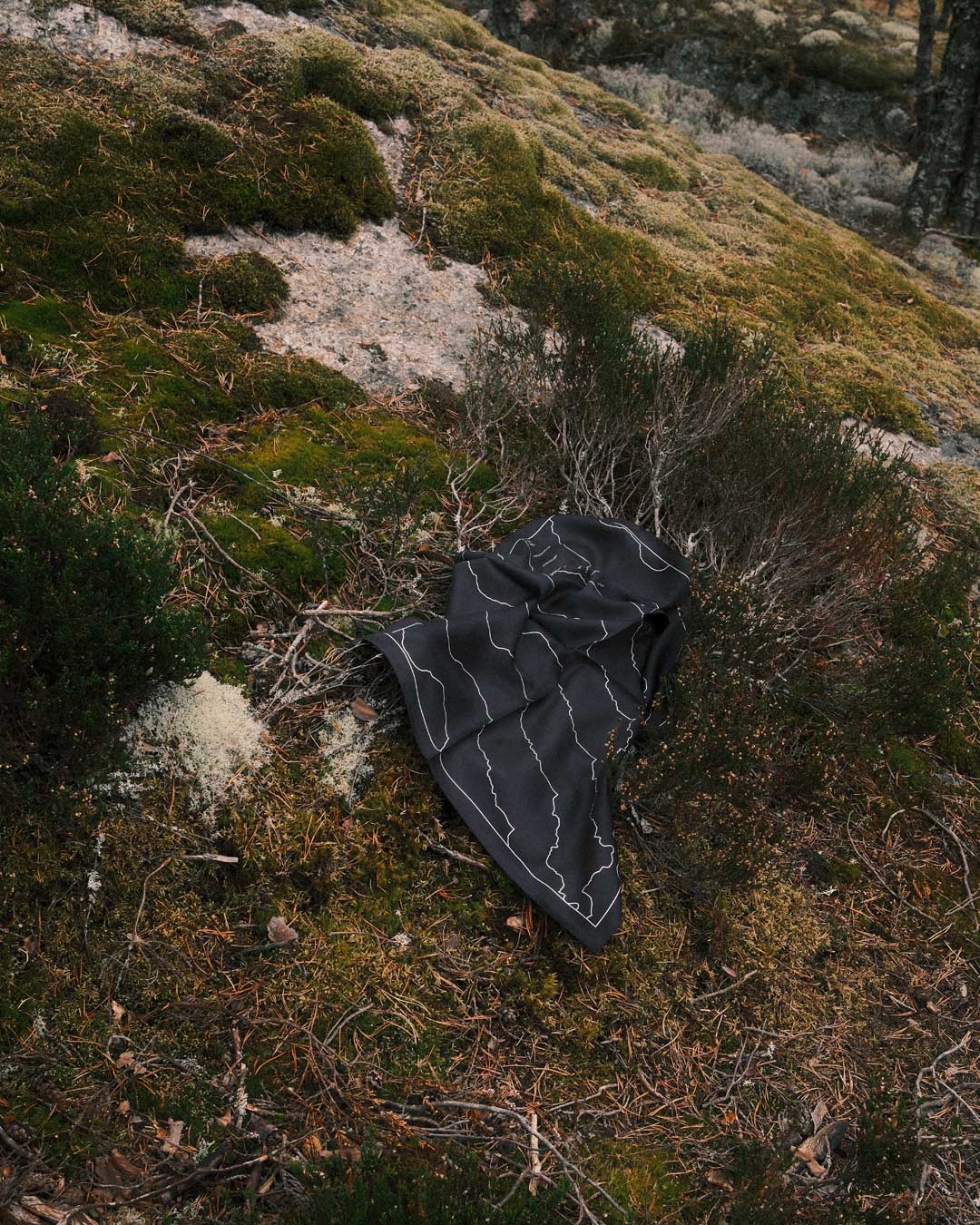 Explore Silk Handkerchief Kungsleden edt
